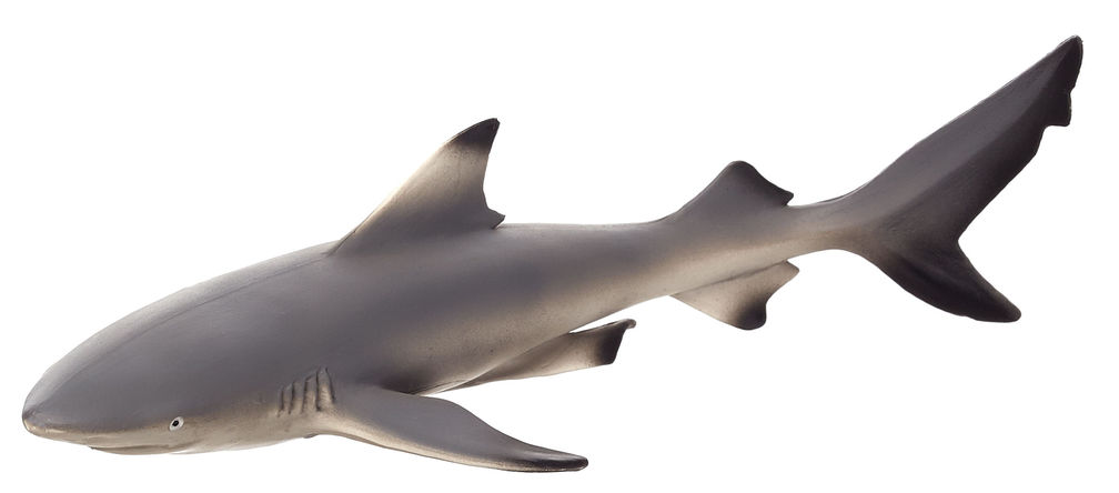 Figurina rechin negru de recif mojo