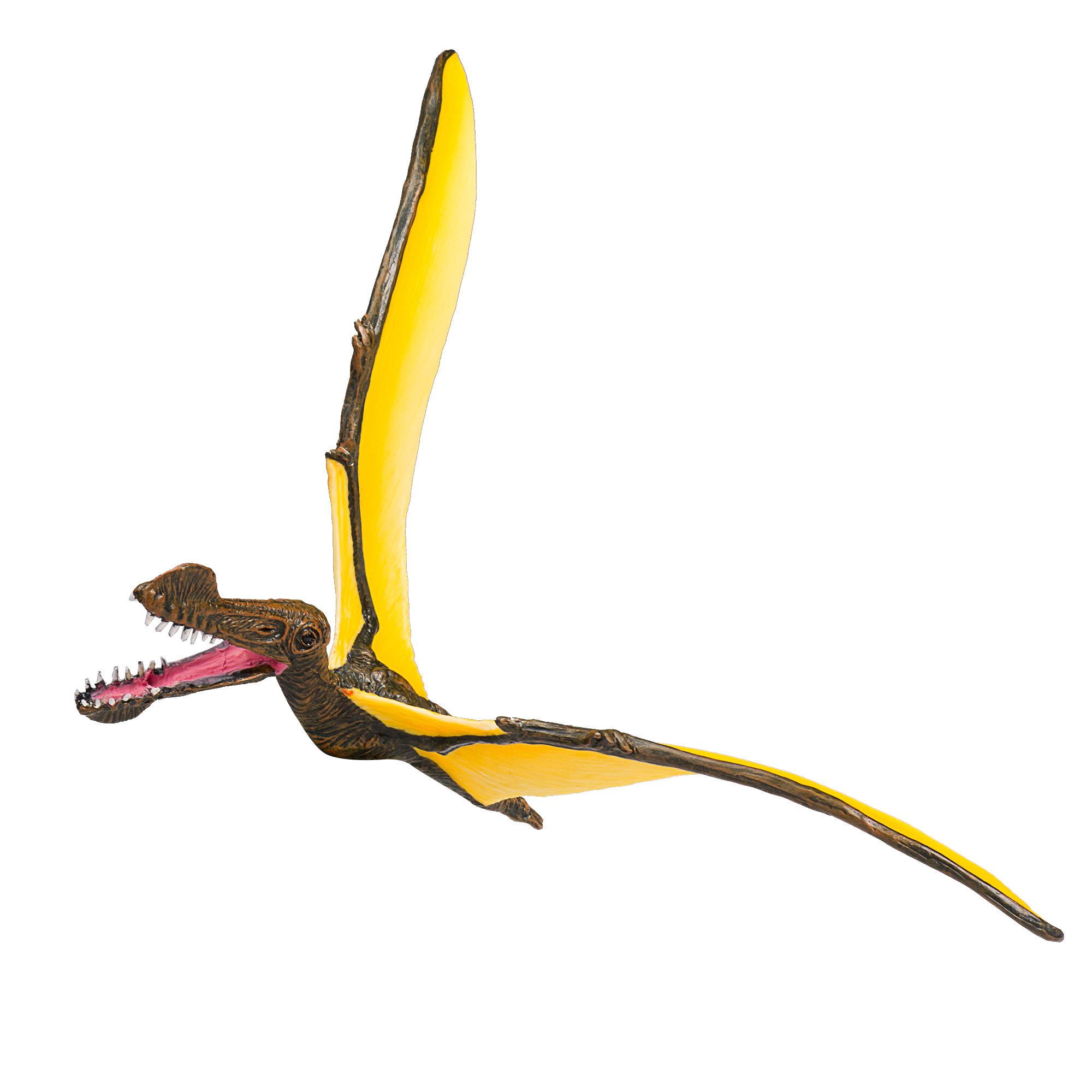 Figurina tropeognathus mojo