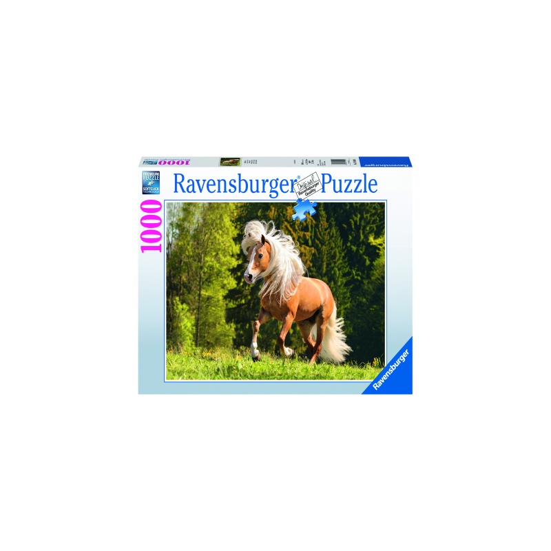 Puzzle copii si adulti cal pe pajiste 1000 piese ravensburger
