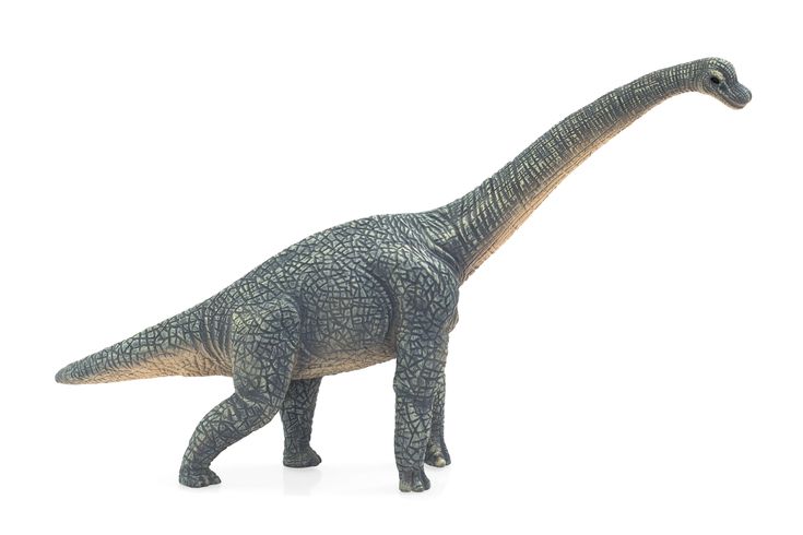 Figurina brachiosaurus gri mojo