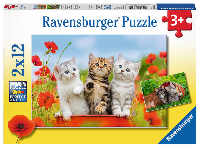 Puzzle aventura pisicutelor 2x12 piese ravensburger